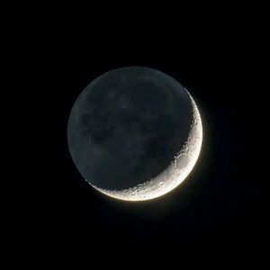 又长又大又黑又粗下载
