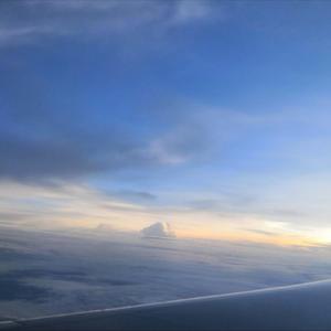 又长又大又黑又粗下载
